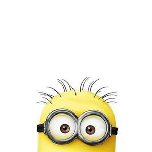 Meet your Posher, Zona